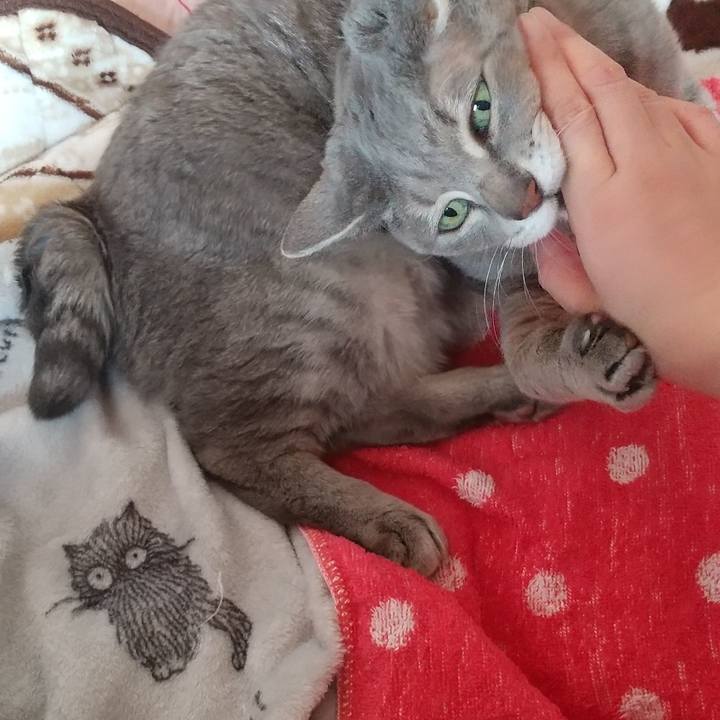 9616494a 449b 433a 8483 40fb379b9e0b 1643243078599