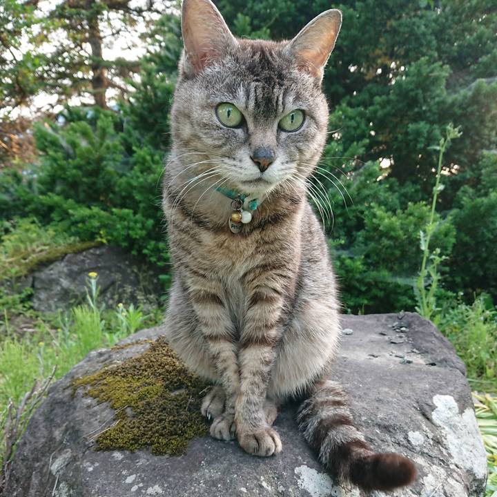 9616732c 0883 49f5 9687 fe4527e395c2 1559641210831