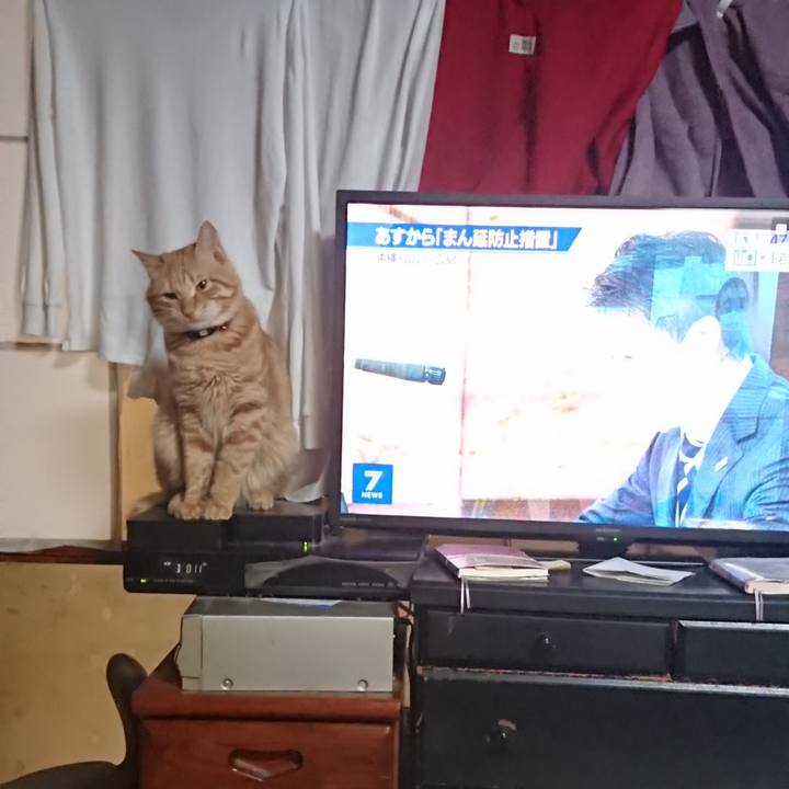 9616b0a0 d32d 47a2 bd65 731ad99b0ae8 1641640904300