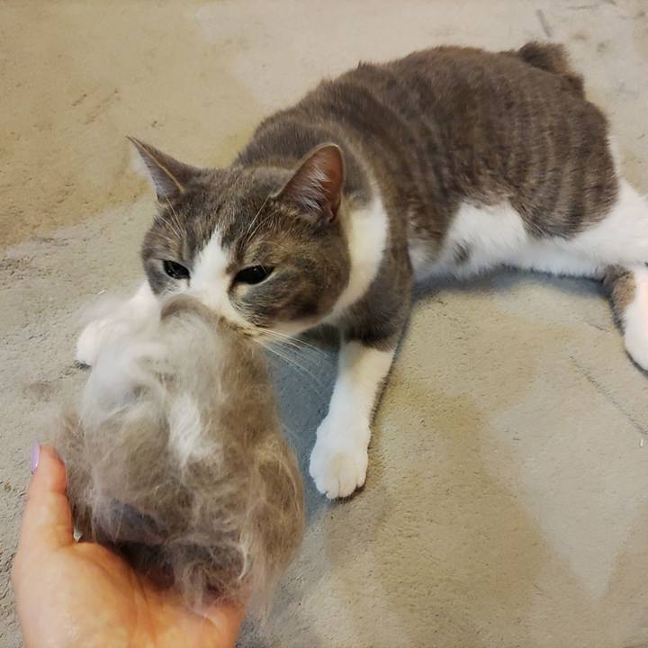 9616c077 4e0b 4f60 8b85 b8a415ecc67a 1685795594604