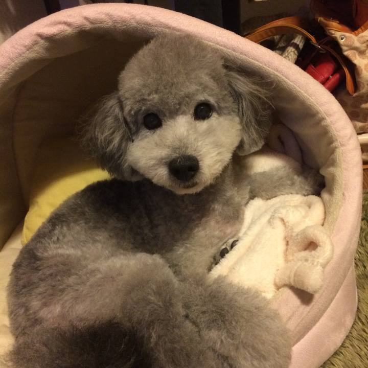 9616c5d1 eec6 46c1 ba03 037d86410e8e 1733098775510