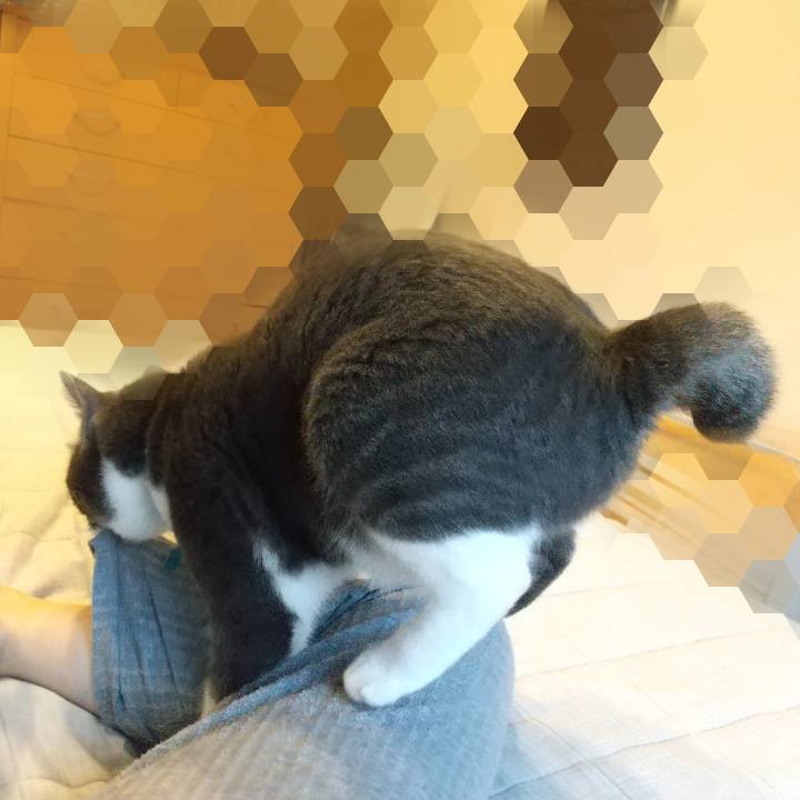 9616dd9d c51e 4b40 a1ba e3d1d7707ec1 1630663319940