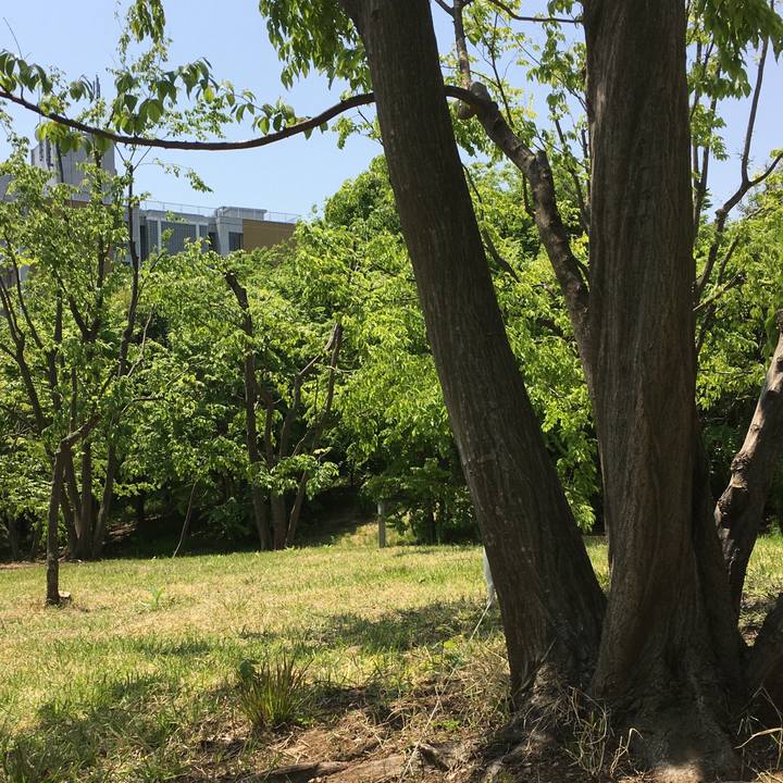 9616e7e8 b511 4977 a036 956417db5155 1588809673077