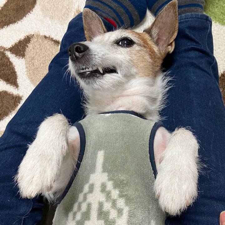 9616f59f fa61 4565 98b2 d9742a9d11dc 1732231499097