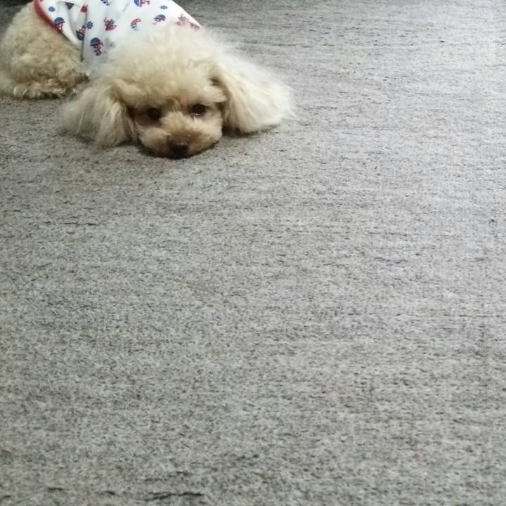 9616ff7c 3d56 4c7d bafe bae5f90bf2cc 1535187338963