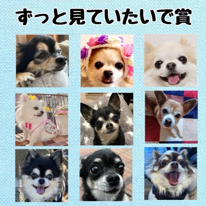 96174046 f09f 4659 8dfd 9d1d0d0a17ef 1738017612498