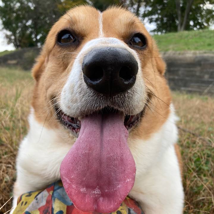 96177358 4a93 439c a710 fc53ed7e2af8 1731715078377