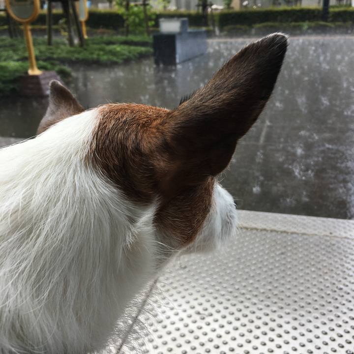 9617a099 71d2 4ee6 9463 1d05c69e5dc3 1622503575003