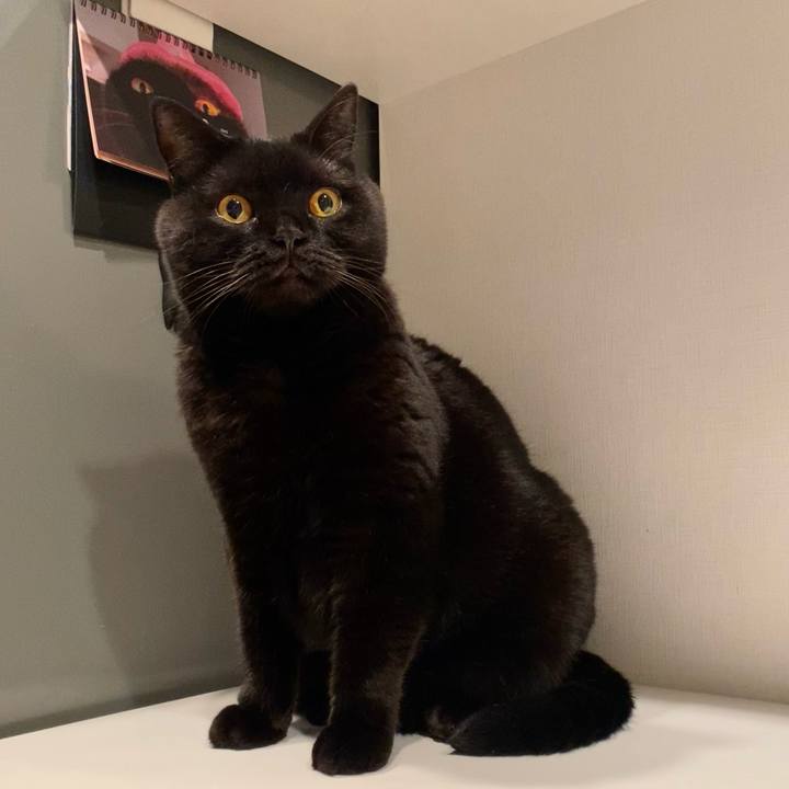 9617d530 c48b 4a13 acd5 67dc327fd9e5 1697638444870