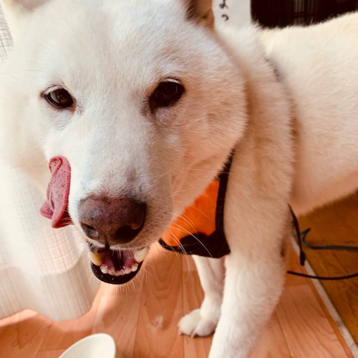 96180ee9 3ab9 4910 972b c471e18dcbe7 1637301496128