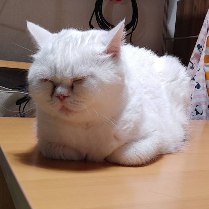 96182658 f435 4855 b2f1 41f2e531257e 1628597412527