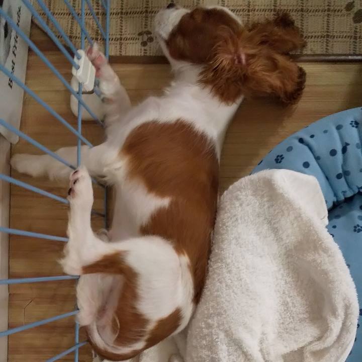 96182ec9 e8ff 446c b8fe 683b58604cae 1567951666619