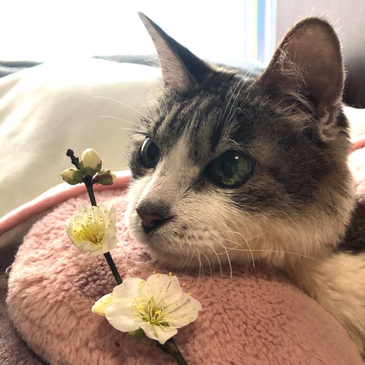 961848b0 0610 410f 8c17 1081dc49f6ca 1581633098840