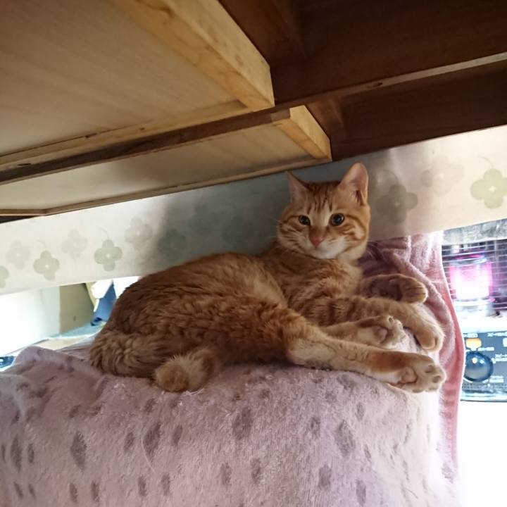 96185a33 a821 4bd4 b4c5 8fdb387b0842 1646432338835