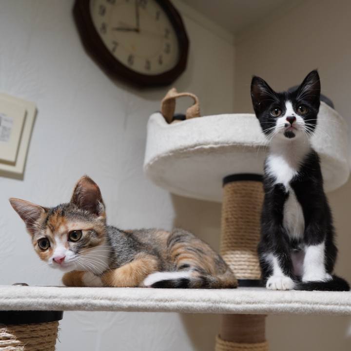 96189236 e6a4 4678 9860 d7b1ecfb9a5e 1568297841757