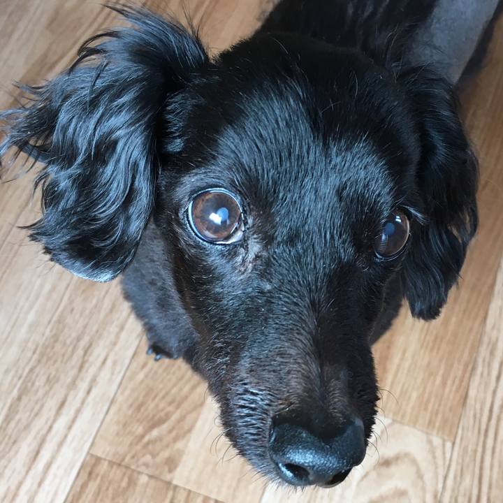 9618a0f8 73de 4301 b603 3da80b145a0c 1550291989228