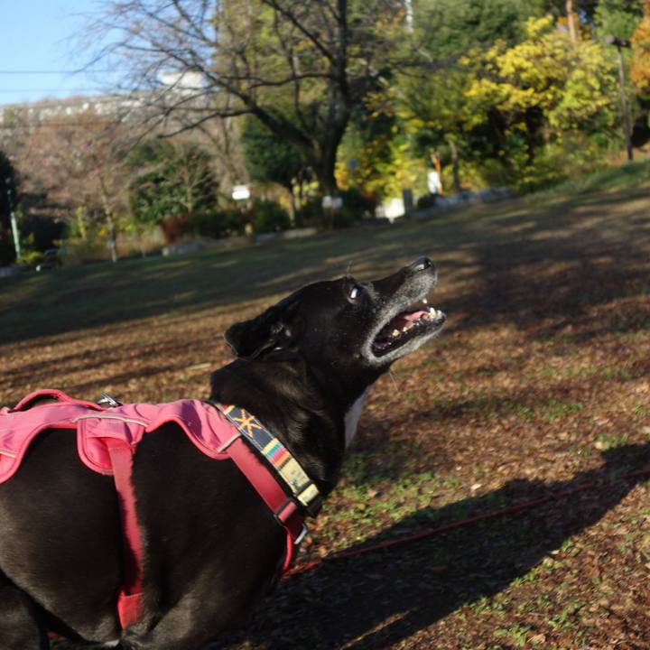 9618e0af 6a50 4f56 9eff 6847a7ffdc10 1701132050629