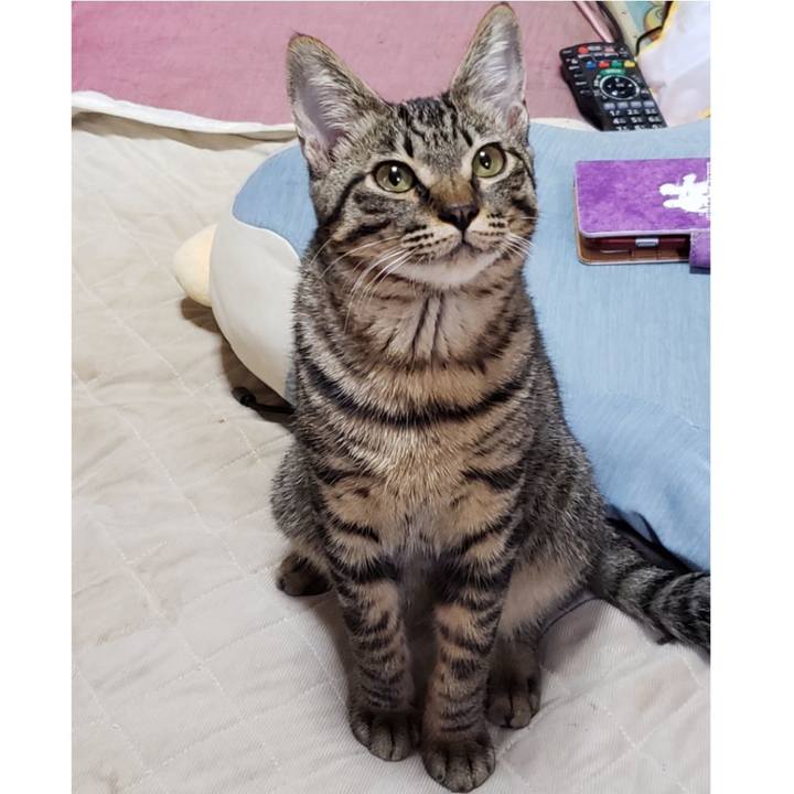 961941ed 936f 4efa 9d29 9dafc2377b7b 1542413468489