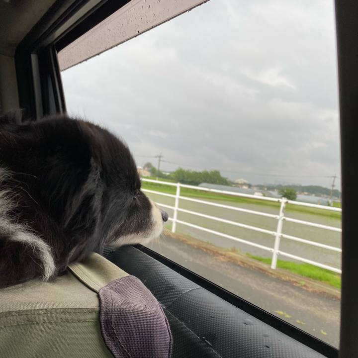 96194f2a efea 484a 8d4f 32c55d6a065d 1688767422839