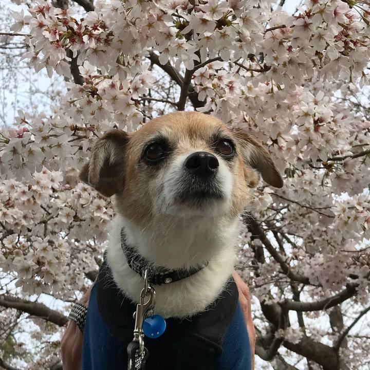 961958d9 e4fe 4f31 9efb 4da7f90a937f 1616806803234