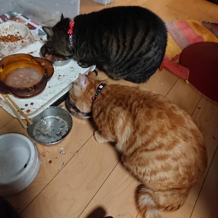 9619779d 0729 4877 8606 84038e8d930f 1640511119954