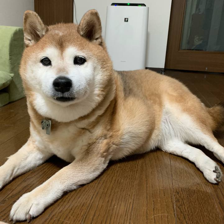 961984cd 77ac 4b87 9e61 609436d5783b 1577605346011