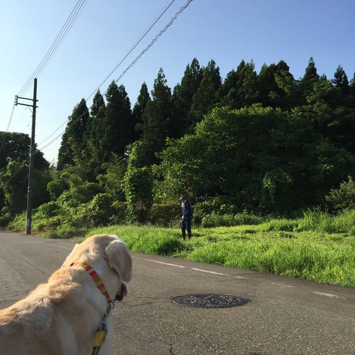 96199f03 c1af 40e4 b77f d97eb222cda7 1533431491993