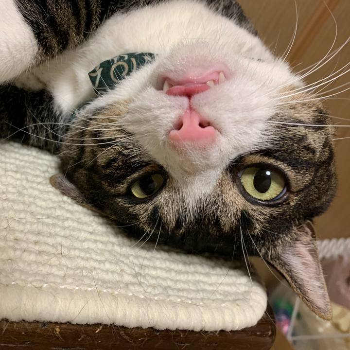 9619a1e4 51fc 40ec 9b24 74d2252921c0 1561127215305