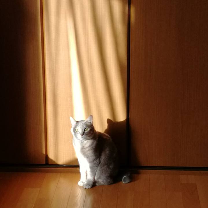 9619a4ac 7513 483b 9309 ec99062b8576 1552385697314