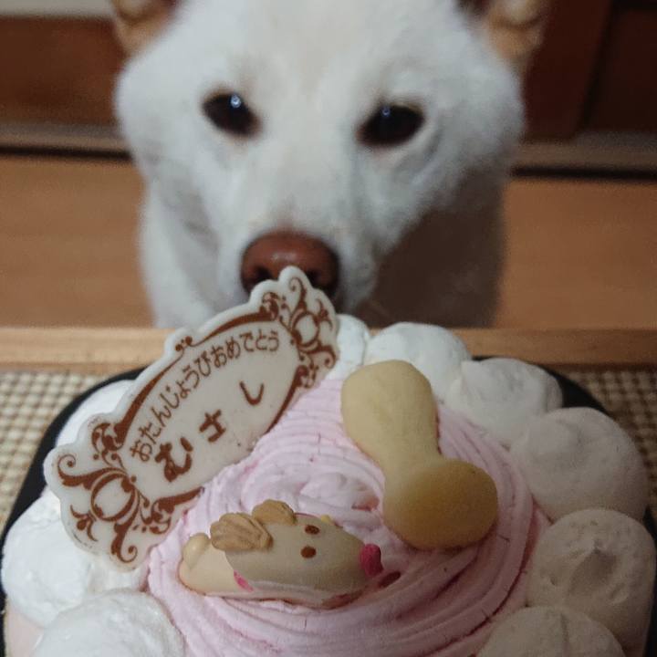 961a16cb 11e7 4539 8ed1 04d12bd35c39 1584710021957