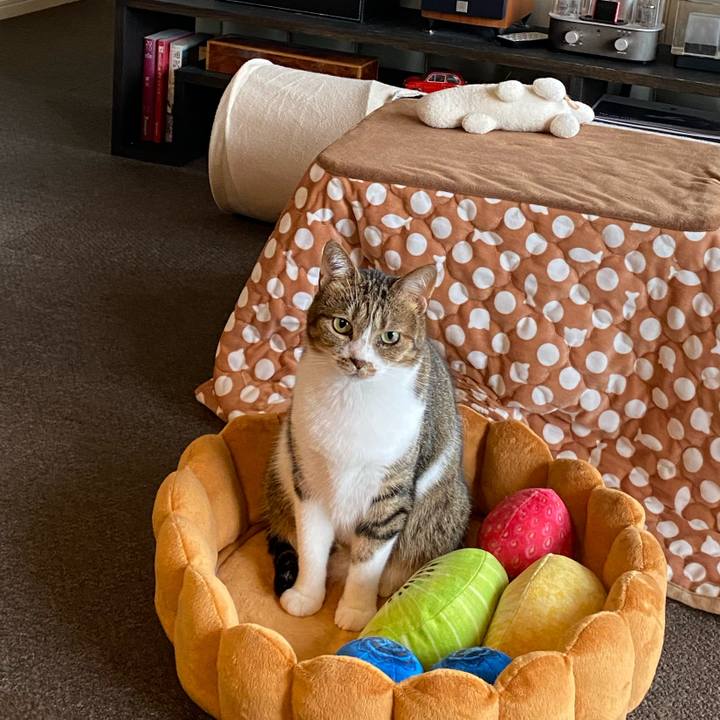 961a5a3a 9629 4537 b7e4 3d2f6723b768 1637606223143