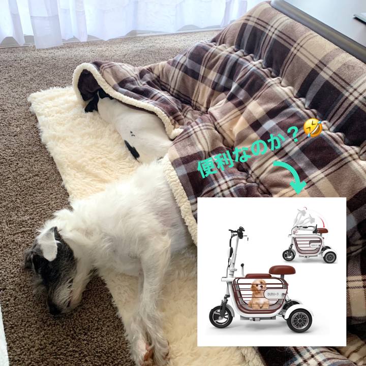 961a71d2 9e65 407a b64d 8f0324cc6d6f 1612046035432