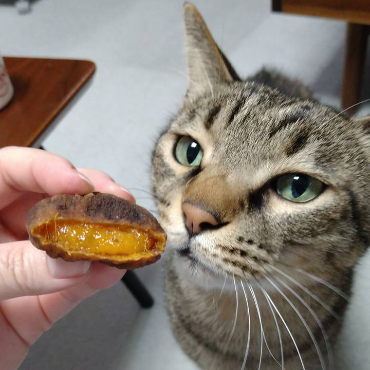 961a73c1 c96f 458c 9980 f5031f0c2e4e 1669187656952