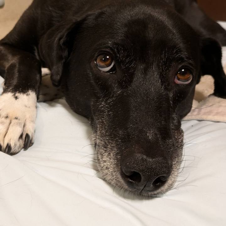 961ae525 b923 4d14 aa55 b46a3d4d3b1a 1724972967949