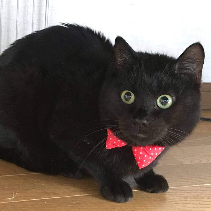 961b36b8 96e5 49ed ac75 4fa1aebf2969 1547436898020