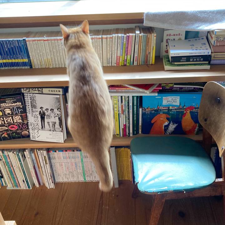 961b4c4e 4527 433c 9542 09c9c5452392 1589551803792