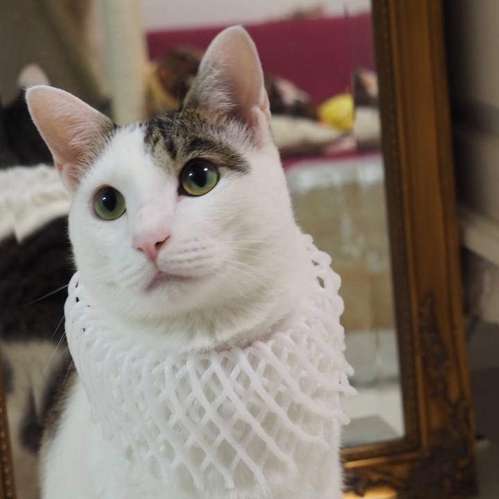 961b67e2 0c27 4c29 afc0 cf4249fe4647 1507768321762