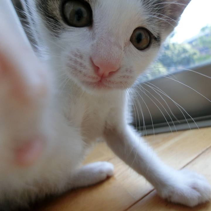 961b69fd 2a5c 42d0 8659 ce531a4fe37d 1561518501935