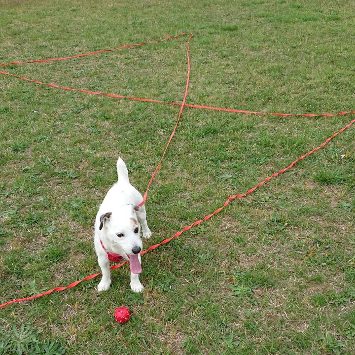 961b84ac 327d 4a82 996e 030a7baf75ee 1523401988079