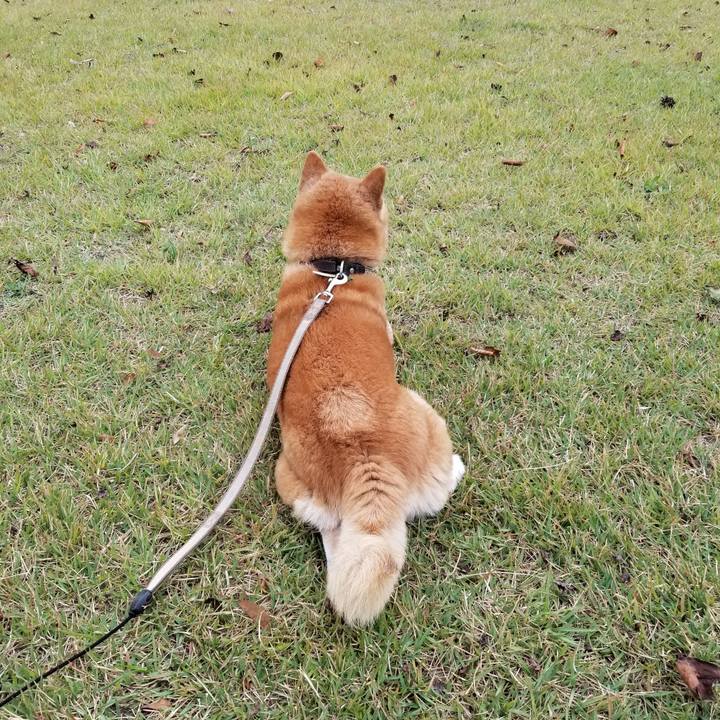 961b9857 d591 473c a391 34759b776544 1696747459695