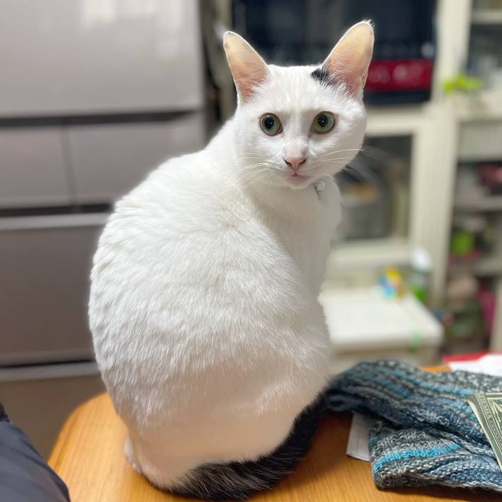 961bde20 92a7 43cf 9579 390109f72ac3 1769831203682