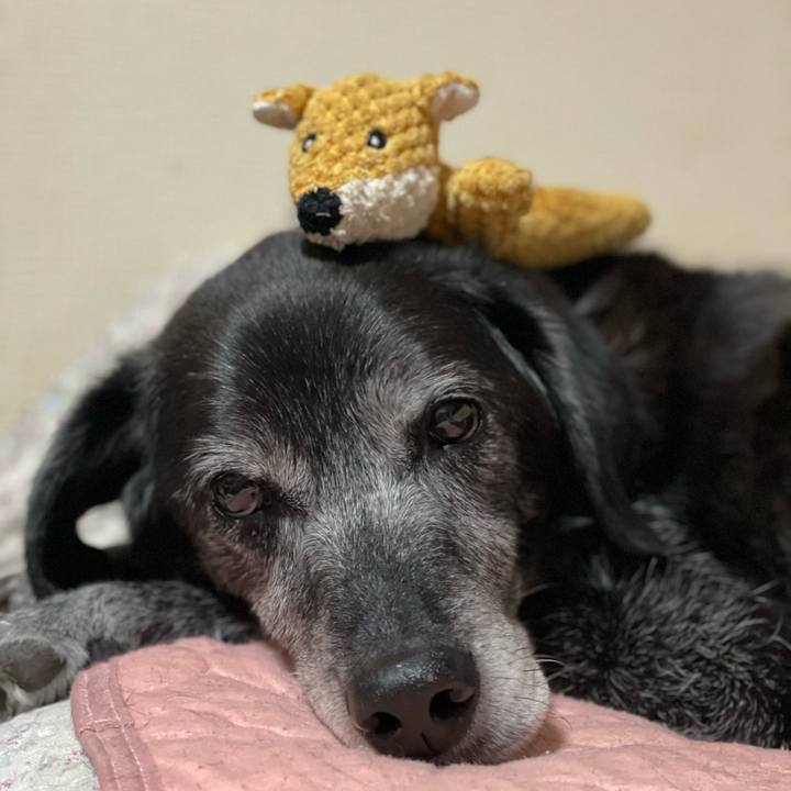 961bf191 f2ba 4d00 af20 733eda4ed27c 1773450318479