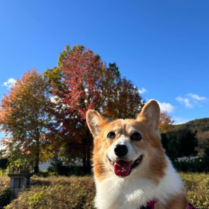 961c1cca fbe1 4f90 ab69 e5d99e8dc0e7 1732335789495