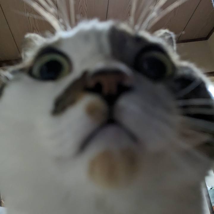 961c585f 9b2a 41f5 906a b06b6933be70 1699445330729