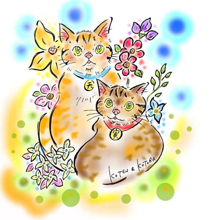 961c7c5f d5ba 4b33 908c 216005b1493e 1571159435632