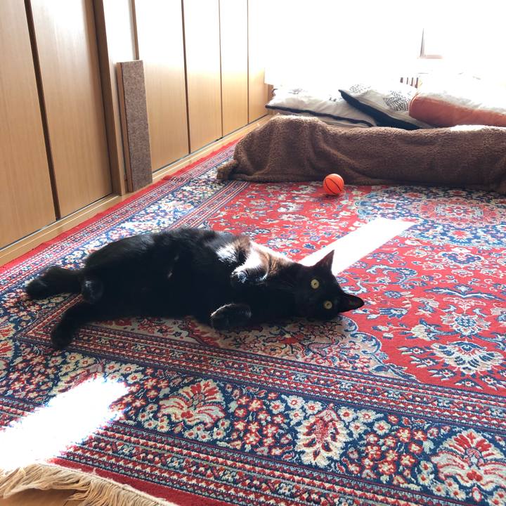 961c91c3 d8e9 4862 b352 ae497c427d31 1549087615853