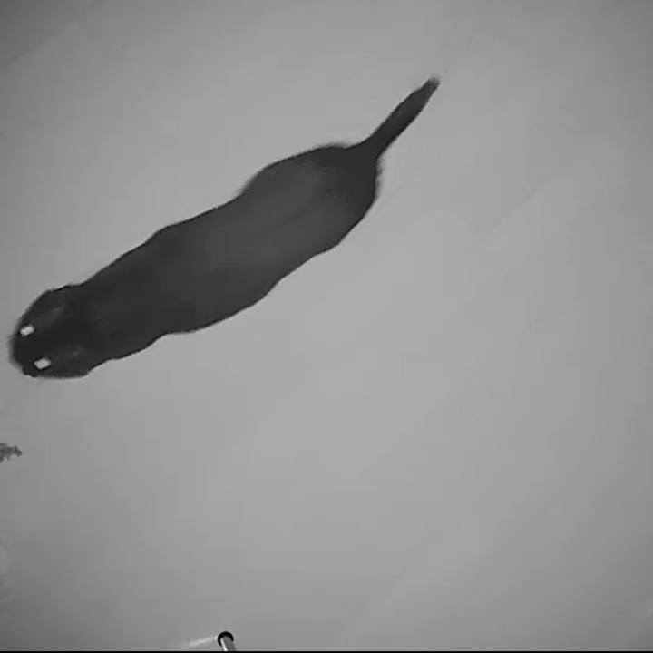 961cbddd 7e03 4372 97e1 4f985ebd54eb 1524226695323