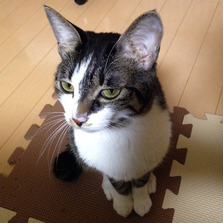 961cf885 8506 4820 b106 1736438c2808 1513061270284