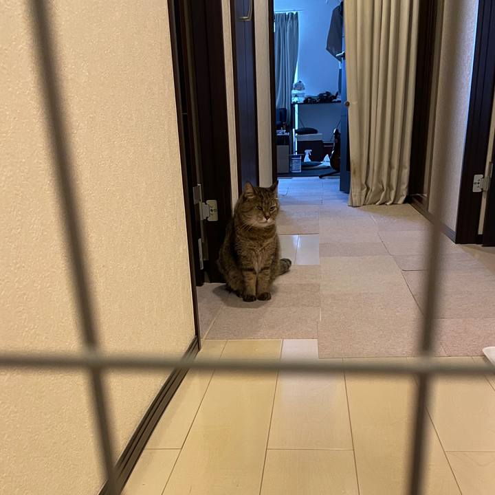 961d1076 a0bb 4d55 9ac0 b3701ab23b22 1748906426517