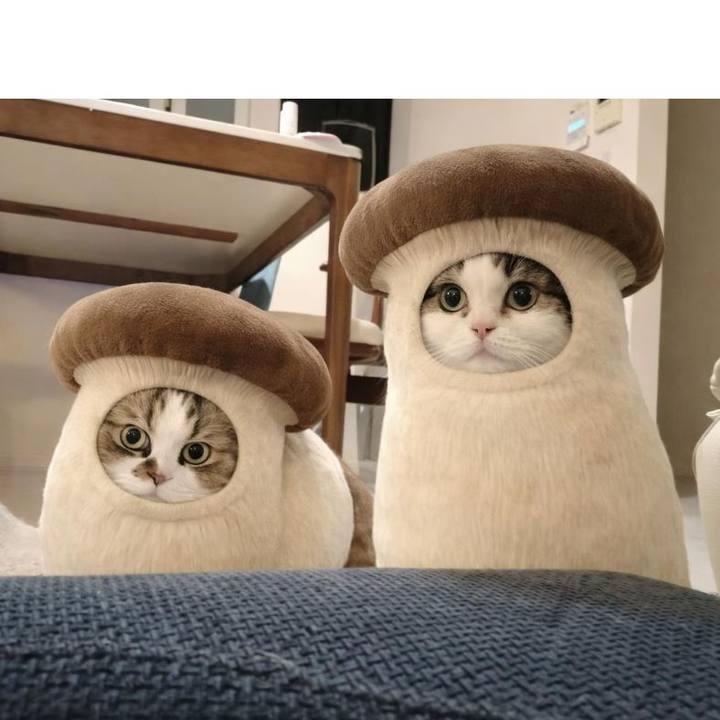 961d43ce 7945 47a7 a780 15f6ccb3265d 1768393873199